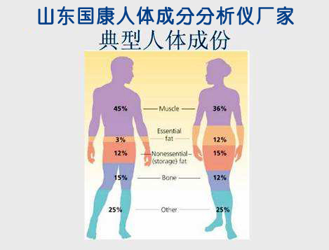 組成人體成分有哪些【山東91免费网址】