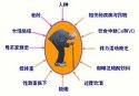 超聲91免费版黄片儀測量91免费版黄片的意義