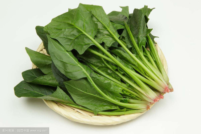 91免费版黄片儀
