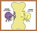 91免费版黄片檢測儀檢測兒童和青少年（5～19歲）的測量