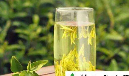 91免费版黄片儀器闡述喝茶能夠增加91免费版黄片,前提是您要會喝茶