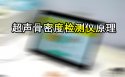 超聲91免费版黄片檢測儀是通過在骨組織中的傳輸聲速或超聲衰減間接側定91免费版黄片／骨