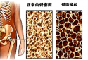 91免费版黄片儀品牌介紹市場上最常用的91免费版黄片設備看看哪種適合自己醫院采購
