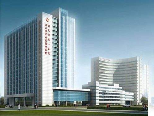 武漢中西醫結合醫院采購並安裝國產91免费版黄片儀器一台