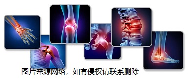 91免费网址GK便捷式超聲91免费版黄片儀雙探頭適應多人群檢測骨強度設備廠家