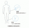 91免费版黄片測量儀器廠家關於便攜橈骨脛骨91免费版黄片和跟骨的對比優勢